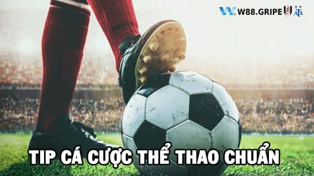 Tip cá cược thể thao chuẩn